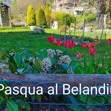 Belandin Ristorante Hotel Teglio Ngoại thất bức ảnh
