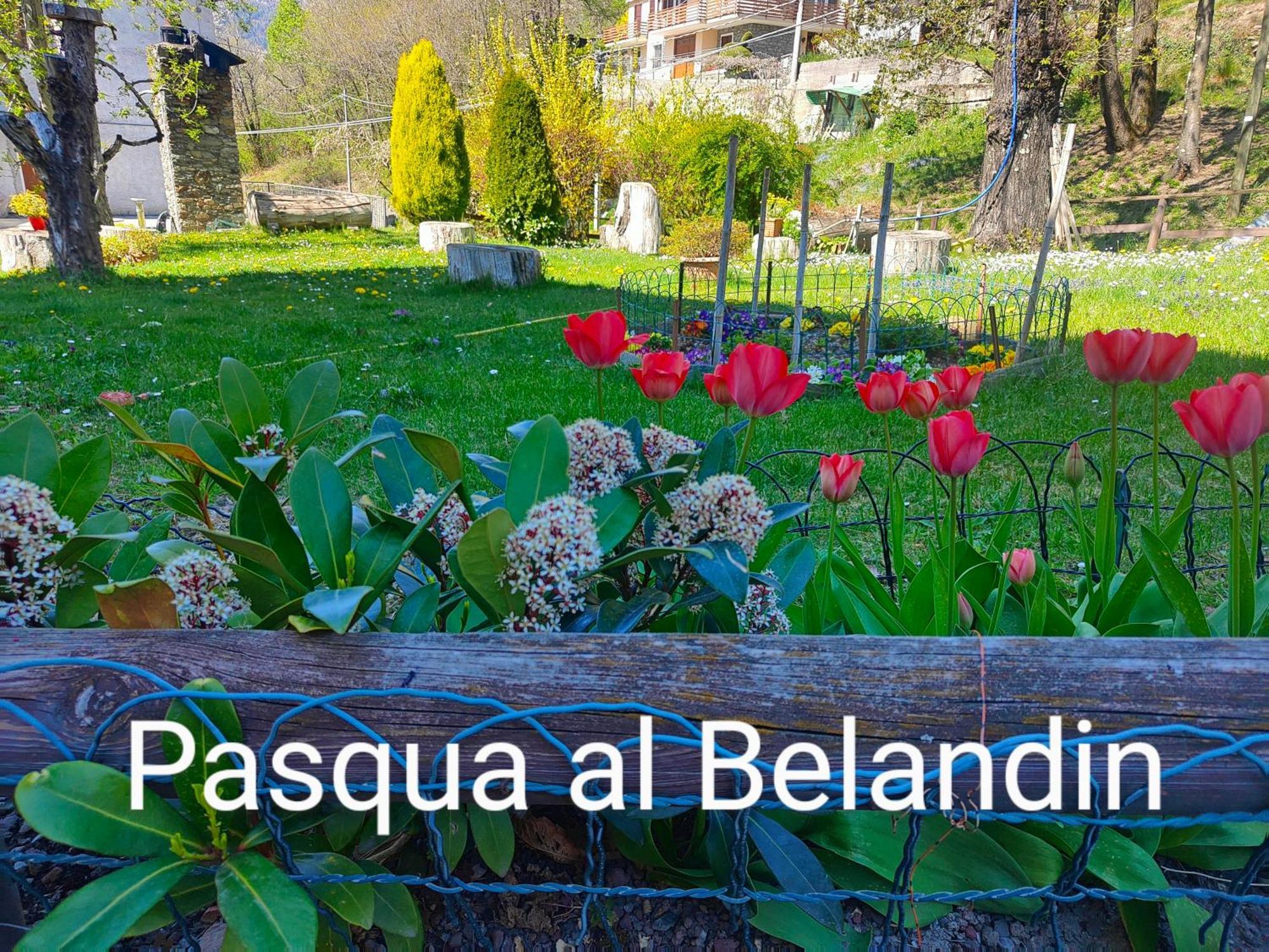 Belandin Ristorante Hotel Teglio Ngoại thất bức ảnh